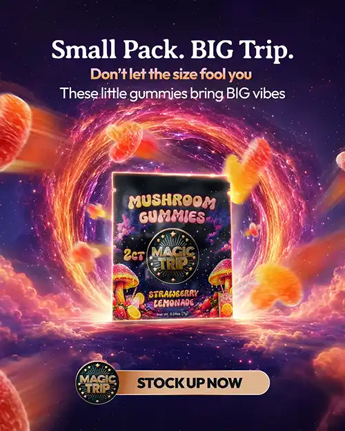 Magic Mushrooms Small Pack Big Trip gummy product promotion