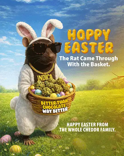 Cheddr Hoppy Easter campaign featuring the rat mascot