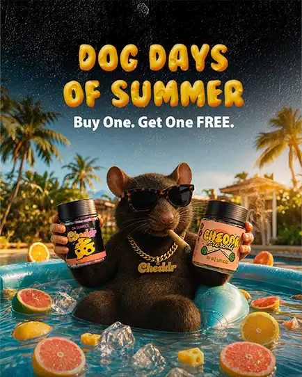 Cheddr Dog Days of Summer cannabis product campaign